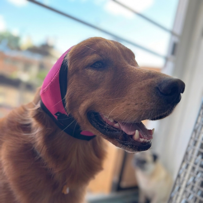 Woof Rest Noise Cancelling Ear Wrap